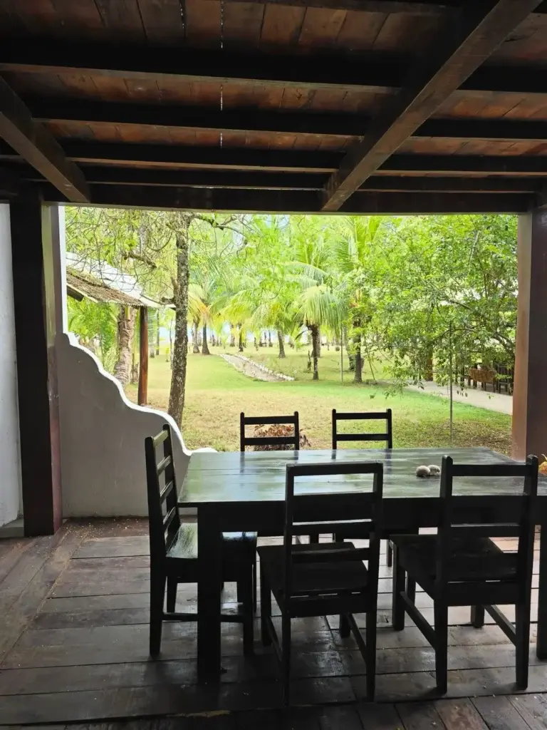 Dining tables looking out over the palm grove