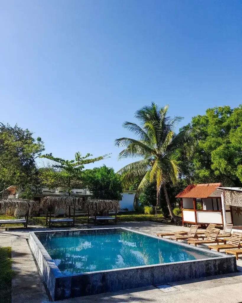 Pool with palm trees and cabanas under a blue sky