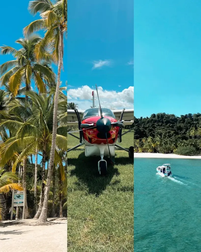 Collage de palmeras, una avioneta chárter y un bote en aguas turquesas cerca de Santa Catalina