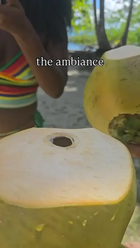 Fresh green coconut opened for drinking