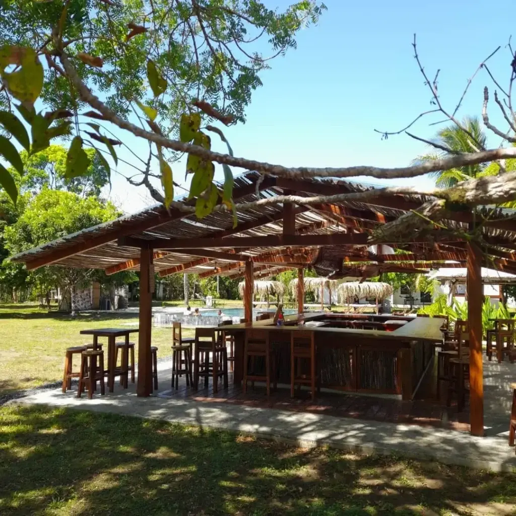 Open-air restaurant and bar under the trees