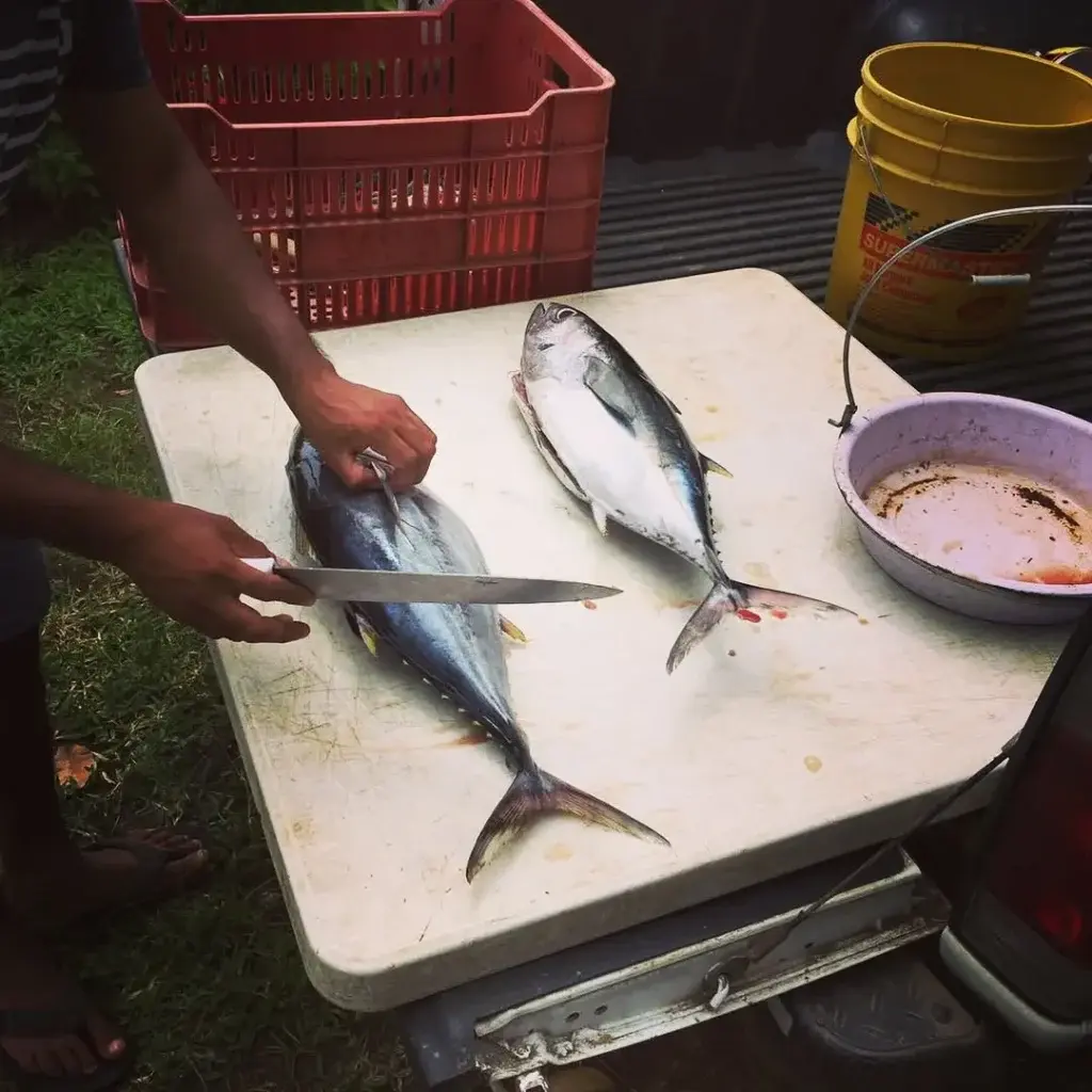 Fresh tuna from the Kokodrilo kitchen at Bliss Beach