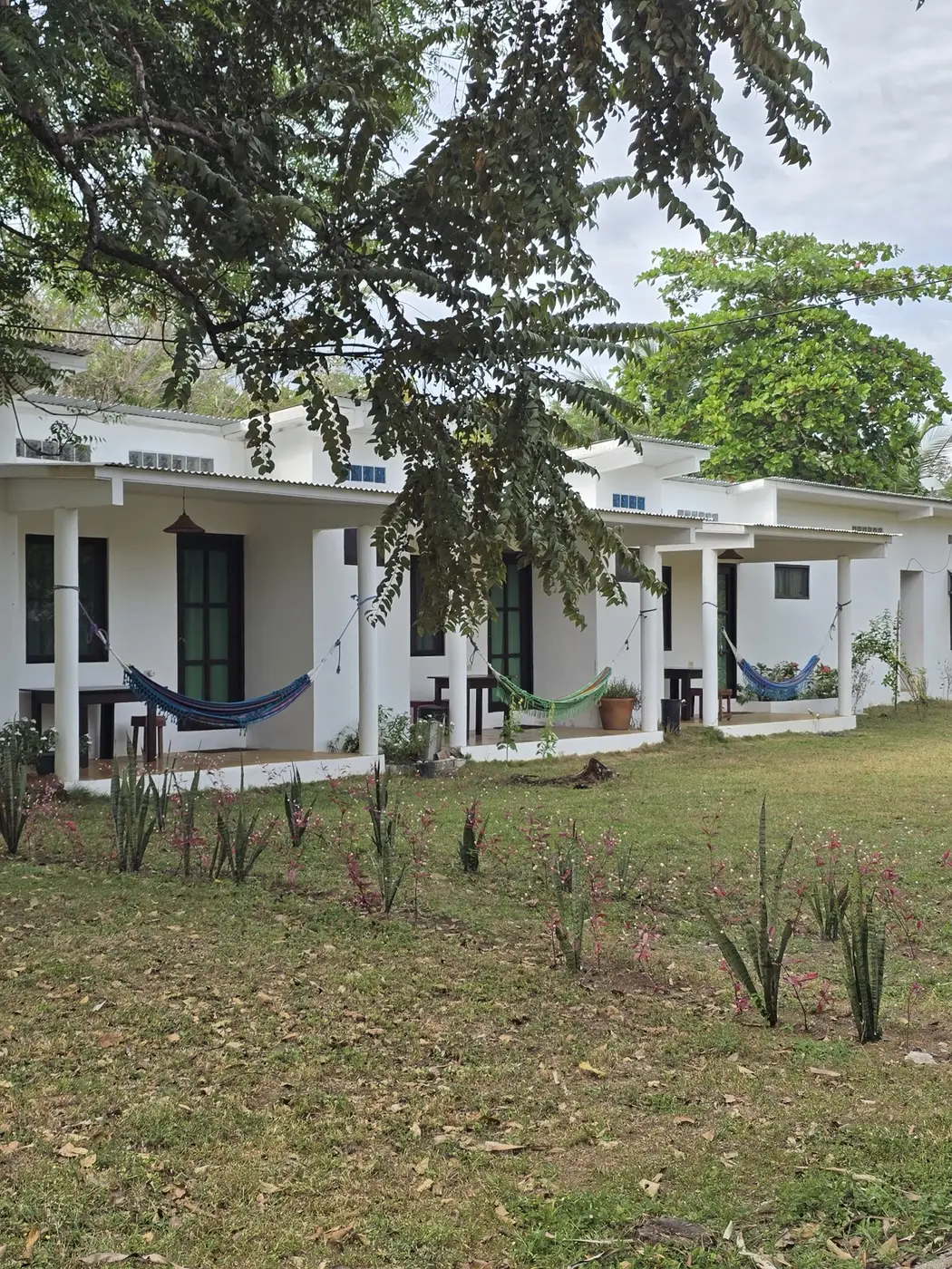White garden bungalows with hammocks on their porches, set on the lawn at Bliss Beach