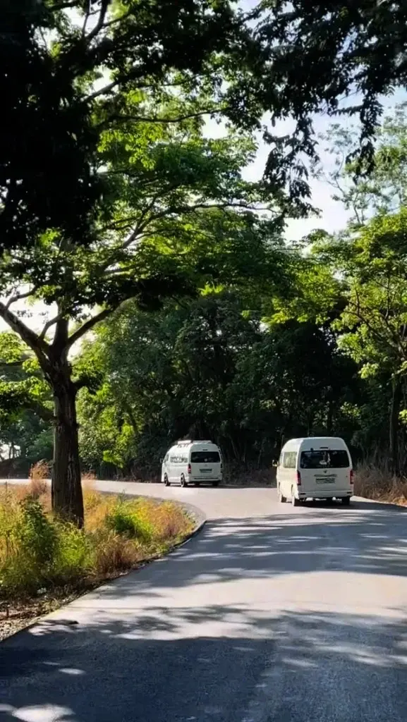 Dos vans de shuttle por una carretera de montaña con curvas en Panamá