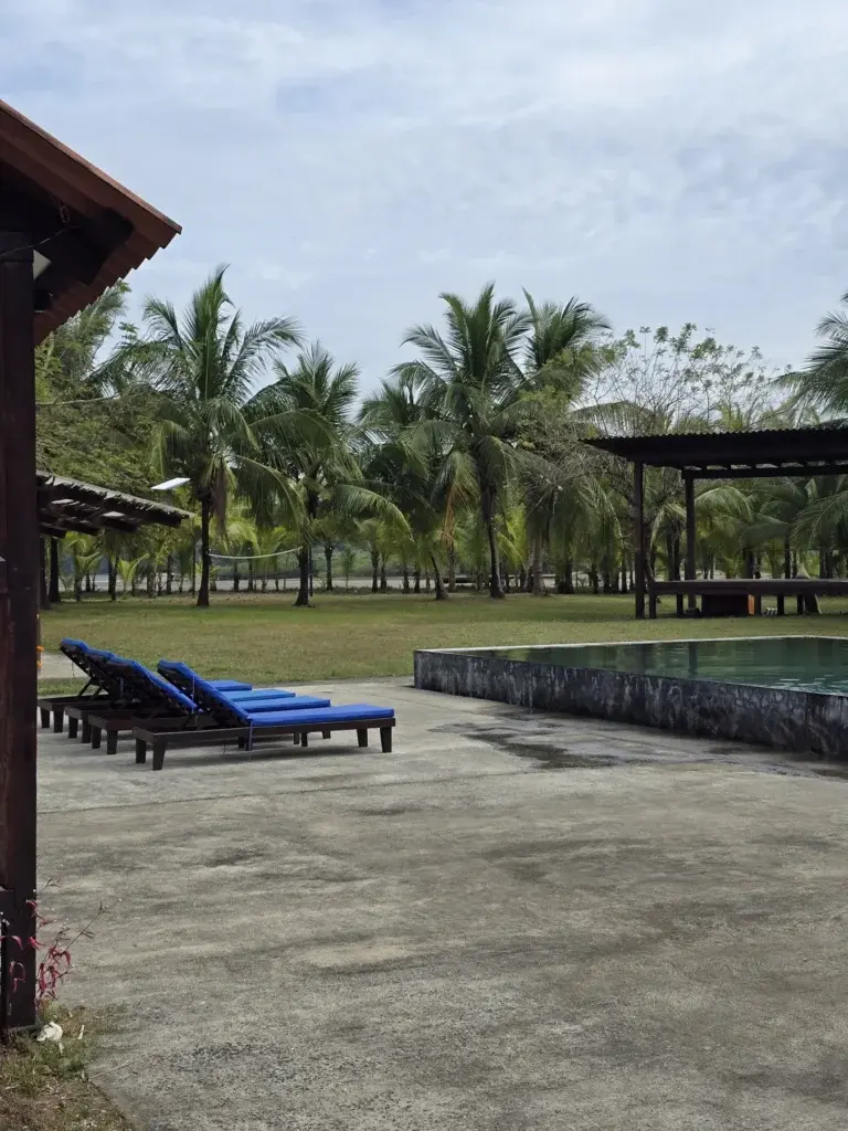 Bliss Beats covered stage beside the pool and palm gardens