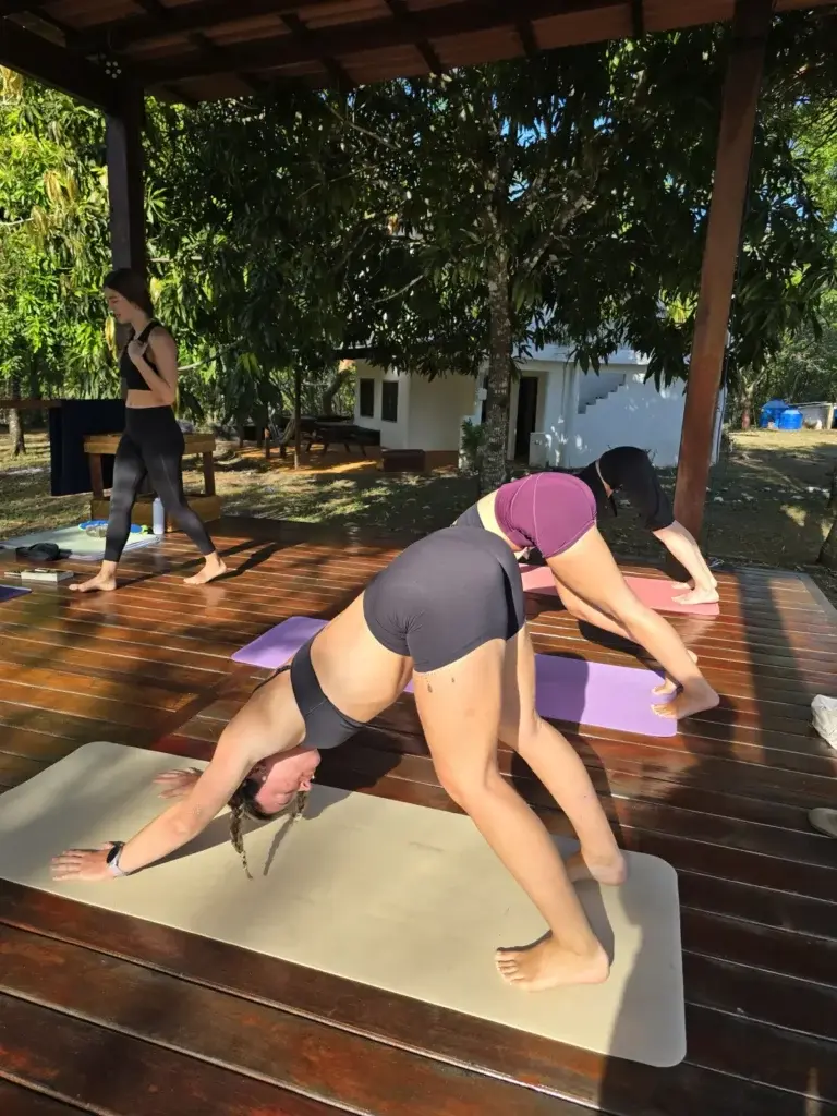 Yoga class in downward dog on the garden deck