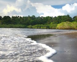 IMG_1657-playa-river-1_FINAL-500x333