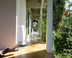 IMG_1709_3-rooms-front-1_FINAL-500x333