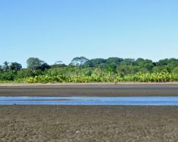 IMG_7133-500x375