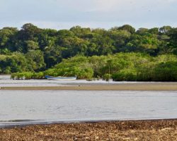 IMG_7252-500x375